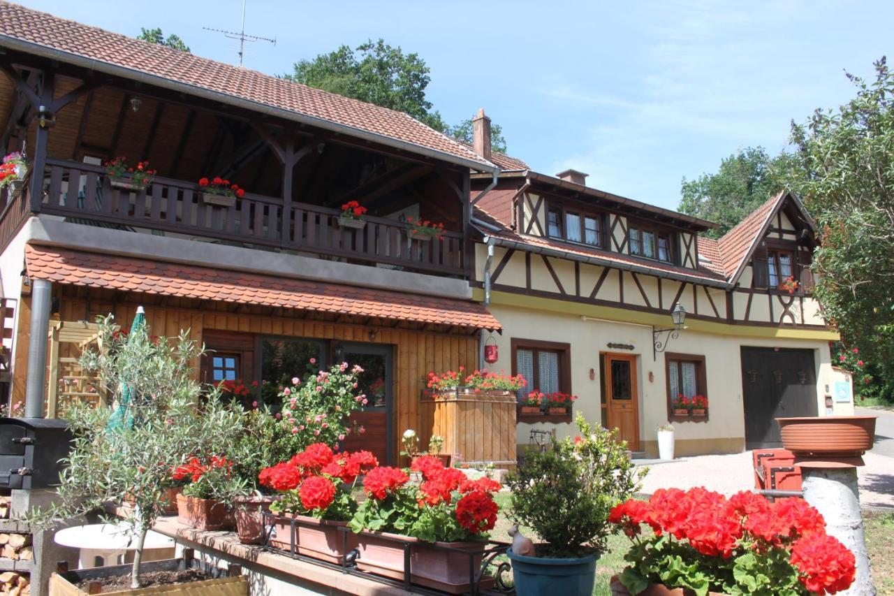 La Maison De Vacances Nothalten Bagian luar foto